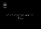 amie 720 geluid tekst